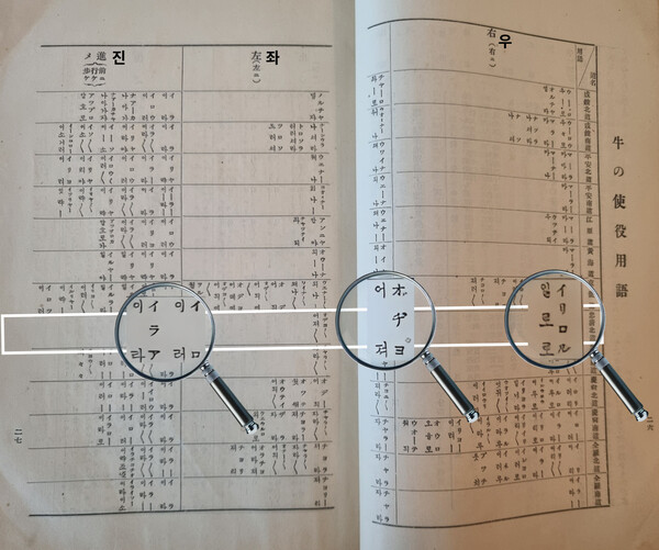 일제, 지역별로 소 부리는 소리까지 채록